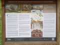 IMG-20250611-WA0017