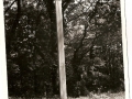 image006